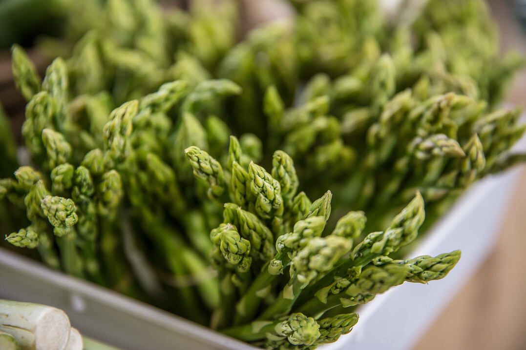 Die Sptfrste im Mrz fhrten beim Grnspargel zu Ernteausfllen.