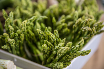 Die Sptfrste im Mrz fhrten beim Grnspargel zu Ernteausfllen.