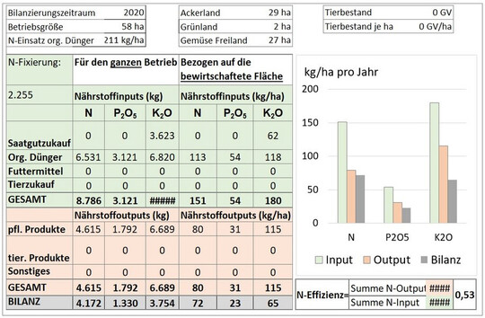 Beispiel einer Hoftorbilanzierungsrechnung. 