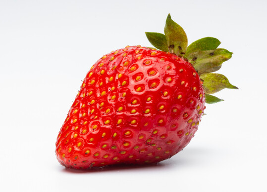 Dank der gemigten Temperaturen und nur weniger heier Tage konnten die Erdbeeren ihr Aroma langsam einlagern, was zu sehr geschmackvollen Frchten fhrte. 
