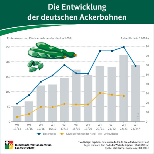 Die Entwicklung der deutschen Ackerbohnen. 