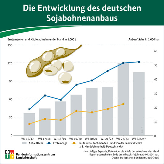 Die Entwicklung des deutschen Sojabohnenanbaus. 
