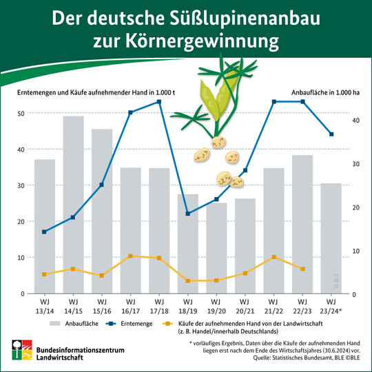 Der deutsche Slupinenanbau zur Krnergewinnung. 