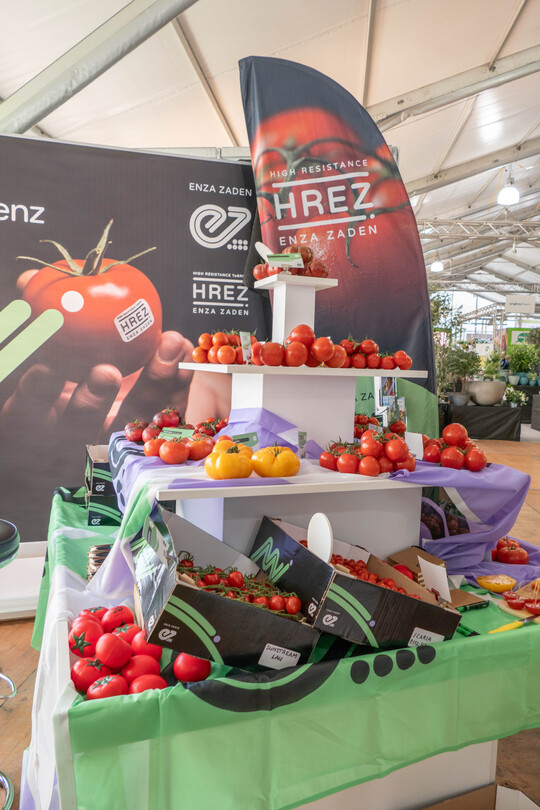 Enza Zaden präsentierte ihr Sortiment mit ToBRV-resistenten Tomatensorten auf der ÖGA.