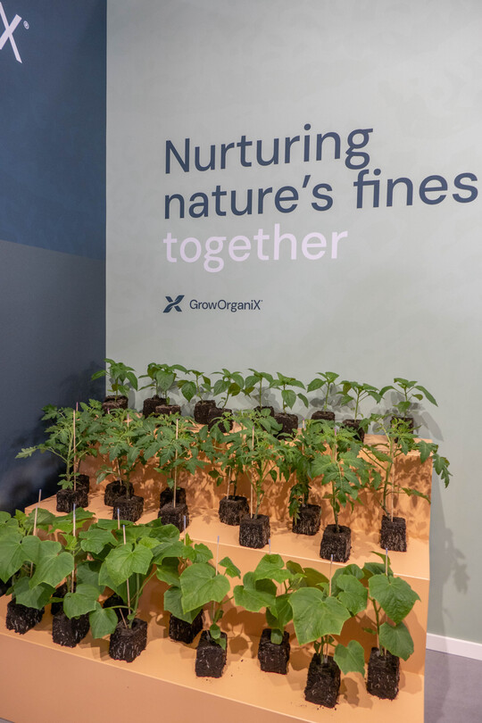 Seit einem Jahr produziert GrowOrganiX als Tochterunternehmen des Schweizer Gemüsebetriebs Max Schwarz AG in Holland Jungpflanzen auch für den deutschen Markt.