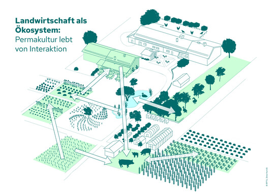 Fr ein stabiles Landwirtschaftsystem mit funktionierenden Kreislufen werden in der Permakultur nach Abbild der Natur die einzelnen Bestandteile (Tierarten, Feldfrchte, Bume, Hofangehrige) durch Interaktionen zu einem komplexen System verwoben.