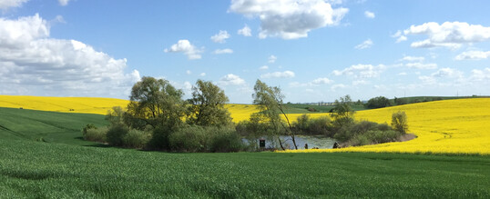 Kleingewsser in einer Agrarlandschaft.