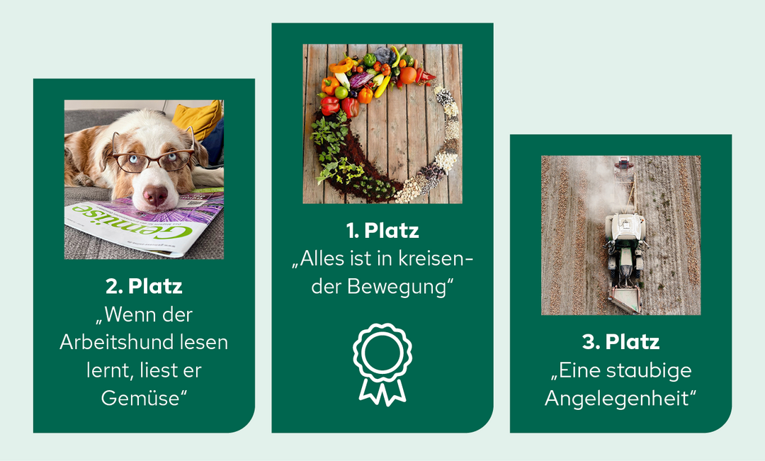 Die Gewinner-Bilder des Gemse-Fotowettbewerbs.