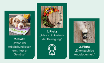 Die Gewinner-Bilder des Gemse-Fotowettbewerbs.