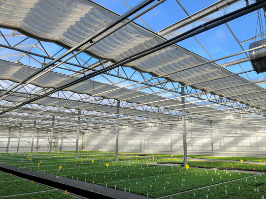 Beim Planen sollten einige Monate Vorlaufzeit bis zum Einbau der Schirme einberechnet werden.
