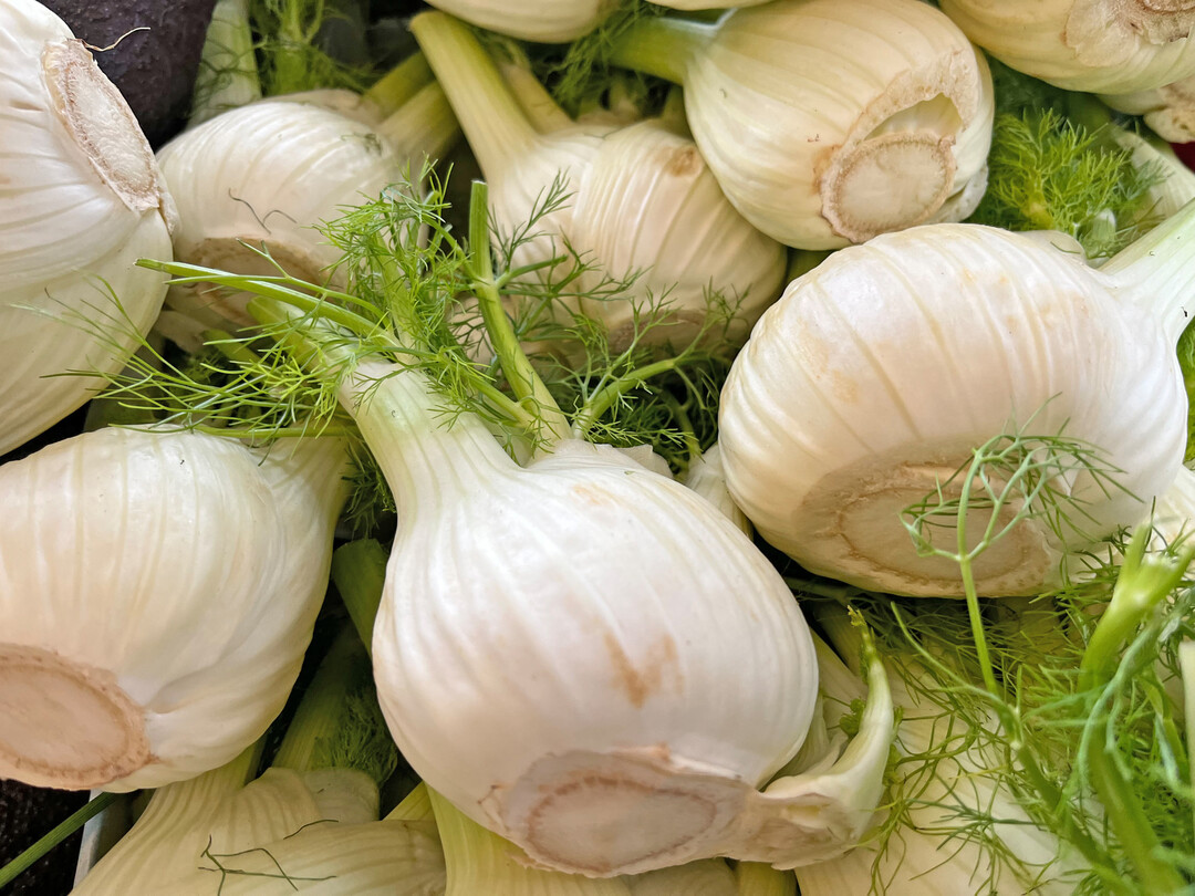 Knollenfenchel trifft nicht jedermanns Geschmack, ist aber durch Importe in Deutschland ganzjährig zu kaufen.