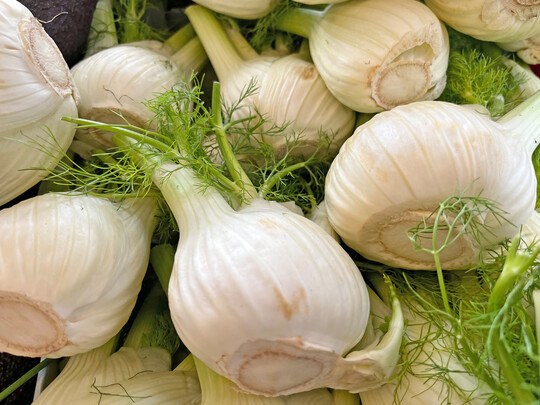 Knollenfenchel trifft nicht jedermanns Geschmack, ist aber durch Importe in Deutschland ganzjhrig zu kaufen.