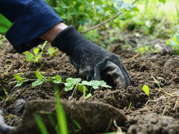 Der Boden ist das grte Kapital der Landwirtschaft. Deshalb sind Landwirte aus der
Bodenseeregion dazu eingeladen, sich in Boden-AGs zum Thema Bodenfruchtbarkeit
auszutauschen und von ihren jeweiligen Erfahrungen zu profitieren.