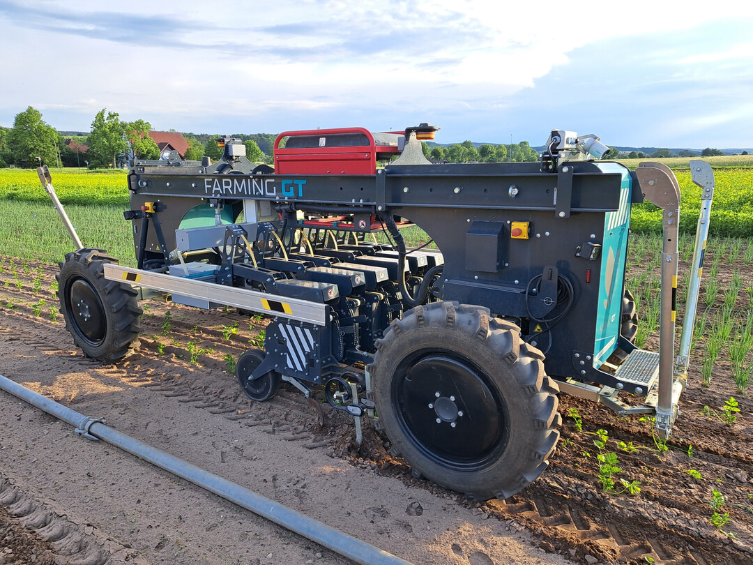 Der Farming GT von Farming Revolution beim Hacken eines Selleriebestands.
