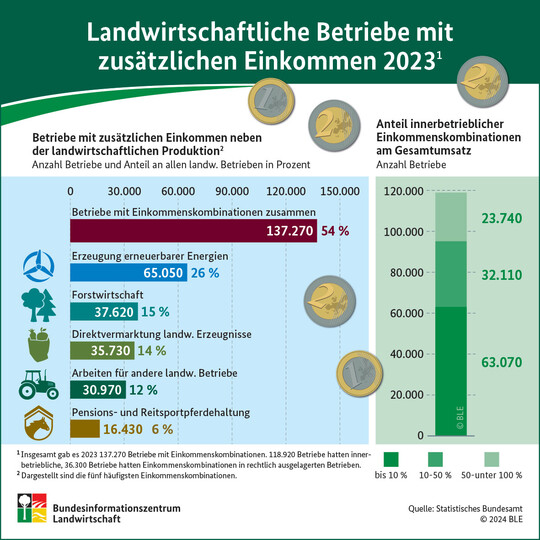 Betriebe mit zusätzlichen Einkommen neben der landwirtschaftlichen Produktion.
