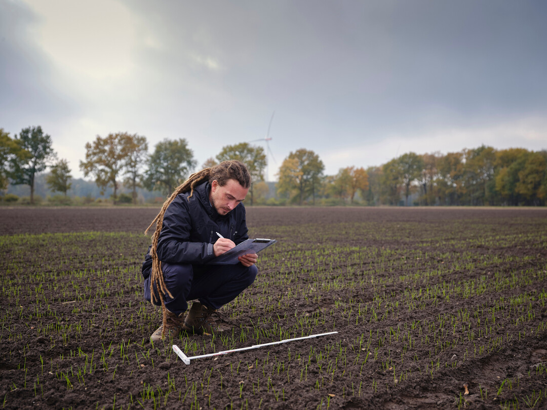 Feinarbeit: Seedforward-Grnder Jan Ritter bei Untersuchungen auf dem Feld. Der Osnabrcker Biotech-Betrieb hat eine biobasierte Saatgutbehandlung zur Dngerreduzierung entwickelt. Die Deutsche Bundesstiftung Umwelt (DBU) frdert das Projekt mit rund 432.000 Euro.