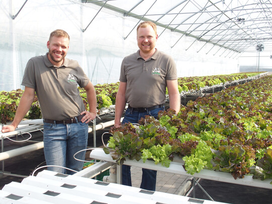 Die IseBauern Stefan Pieper und Marcus Meyer (von links) kultivieren neben Tomaten auch Blatt-Salate in Hydrokultur, um dem Markt etwas mehr anzubieten.