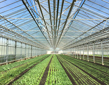Finanzielle Mittel fr das Bundesprogramm zur Steigerung der Energieeffizienz und CO
<sub>2</sub>
-Einsparung in Landwirtschaft und Gartenbau stehen endlich wieder zur Verfgung.