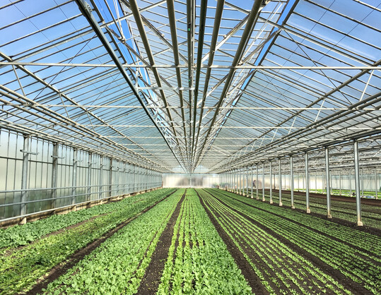 Finanzielle Mittel fr das Bundesprogramm zur Steigerung der Energieeffizienz und CO
<sub>2</sub>
-Einsparung in Landwirtschaft und Gartenbau stehen endlich wieder zur Verfgung.