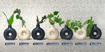 Was wre Schneewittchen ohne die sieben Zwerge? Und was wre ein 7-Kruter-Pesto ohne Basilikum, Petersilie, Koriander, Liebstckel, Thymian, Oregano und Brlauch?