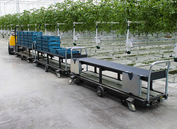 Automated Guided Vehicle (AGV)-Fahrzeuge, also fahrerlose Transportfahrzeugen, sind immer beliebter im Gewchshausanbau.