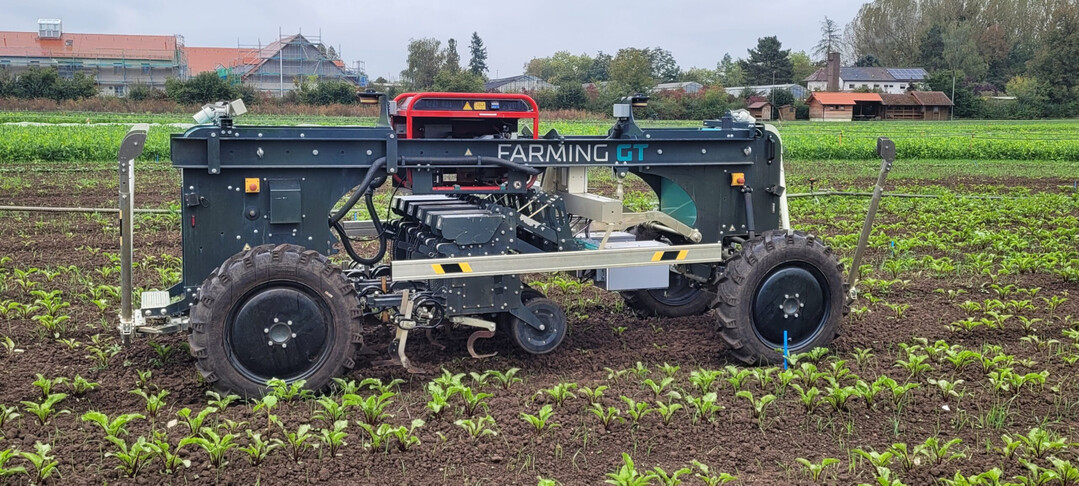 Versuche an verschiedenen gartenbaulichen Kulturen mit einem Hackroboter zur herbizidfreien Beikrautregulierung.