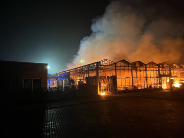 Gemsegrtnereien bergen hohes Brandrisiko, vorbeugende Manahmen knnen einen Brand wie hier verhindern.