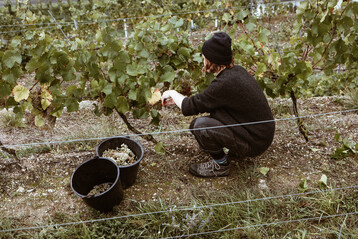 Weil viel von Hand gearbeitet wird, war es den Böhmes wichtig, das auch im Design ihrer Flaschen widerzuspiegeln.