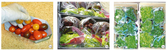 Abbildung 1a bis c: Gemischte Produkte in einer Verpackungseinheit sind eine arbeitswirtschaftliche Herausforderung.