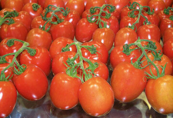 Lycopin in frischen und in verarbeiteten Tomaten
verringert das Risiko von Herz-Kreislauf-Erkrankungen,
den Todesursachen Nummer 1 fr den Menschen.