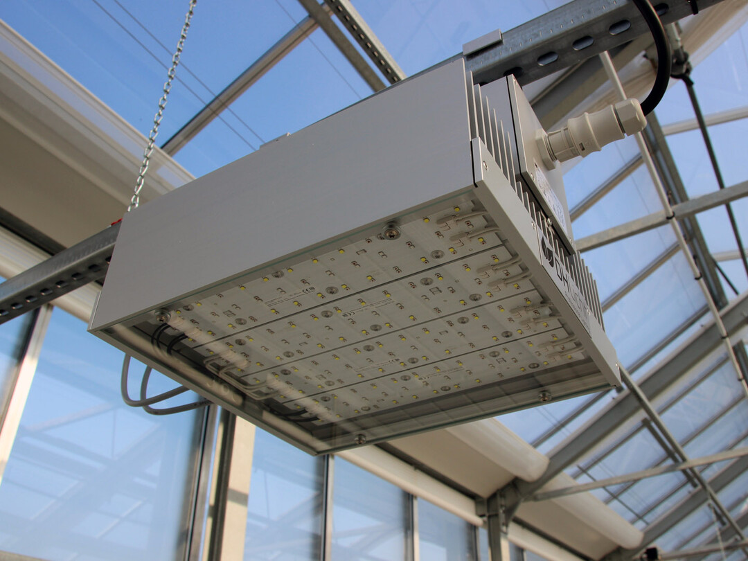 LED-System: Fraunhofer-Forschende untersuchen u. a. den Einfluss von Beleuchtungsszenarien auf Pflanzenwachstum und -qualitt.