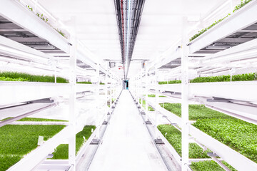 Eine vertikale Farm, die in frhere Industriegebude gebaut werden kann. Vor allem groe Systeme sahen die Teilnehmer aus der Studie als positiv an. 