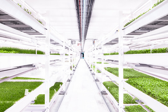 Eine vertikale Farm, die in frhere Industriegebude gebaut werden kann. Vor allem groe Systeme sahen die Teilnehmer aus der Studie als positiv an. 
