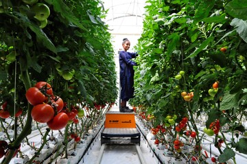 Die neue Anlage ist der erste nachhaltige, hochmoderne Standort fr Saatgutproduktion in thiopien mit vollautomatischen Prozessen zur Klimakontrolle, einschlielich Feuchtigkeit, Heizung und Bewsserung. 