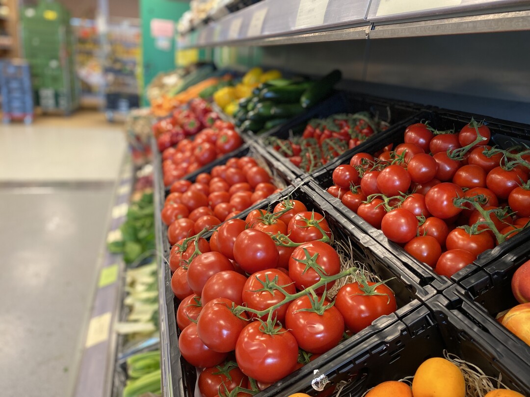 Erstes Tomatensortiment im Bioladen Ackerlei.
