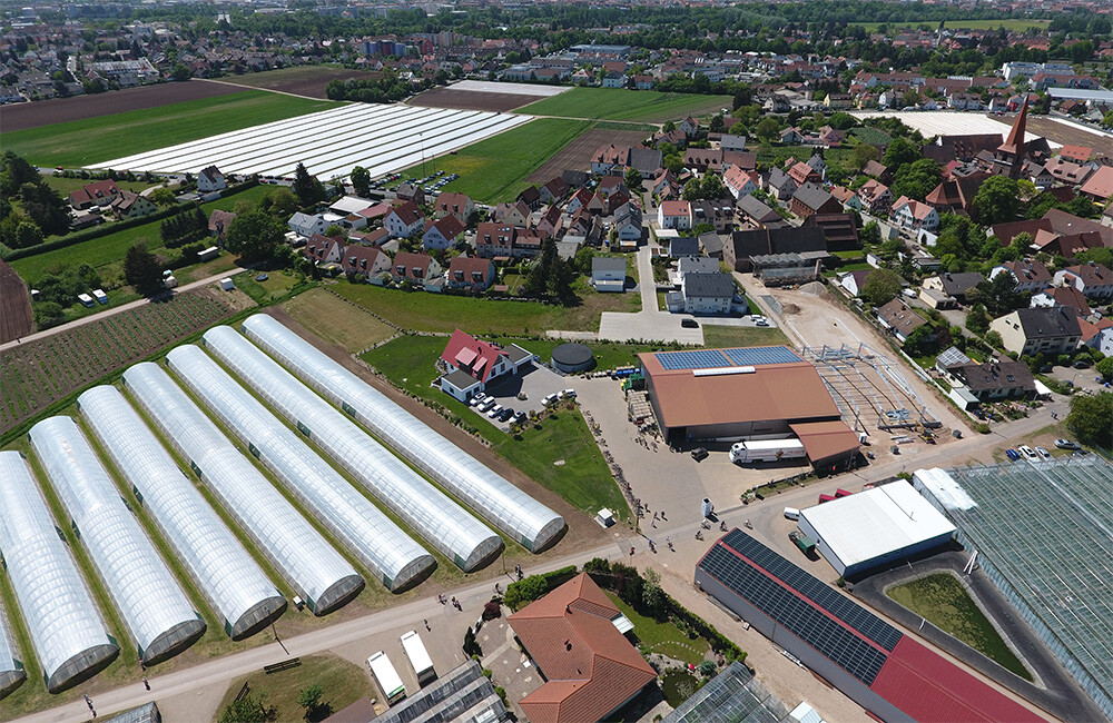 GärtnerAbschlussprüfungen bei Gemüsebau Hofmann in Fürth GEMÜSE ONLINE