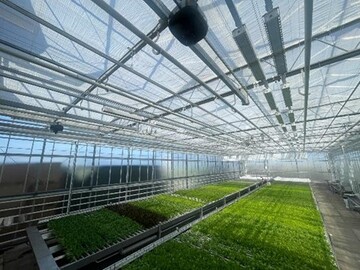Die Roboter-Kamera von IUNU hat ein Auge auf den in Hydroponik angebauten Salat im BASF Gewchshaus.