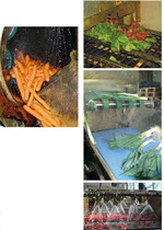 Möhren in Trommelwäscher (oben); Eingabe
von Radies in Tunnelwäscher (oben rechts);
Porree nach dem Waschen im Tunnelwäscher
(Mitte rechts); Radies ohne Laub im Düsenwäscher
(unten rechts)