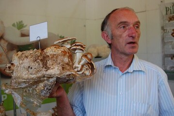 Peter Marseille wurde auf der BUGA in Koblenz fr die hervorragende Prsentation seines
umfangreichen Sortimentes derzeit bekannter Kulturpilzarten mit der Groen Goldmedaille
der Deutschen Bundesgartenschau-Gesellschaft (DBG) ausgezeichnet.