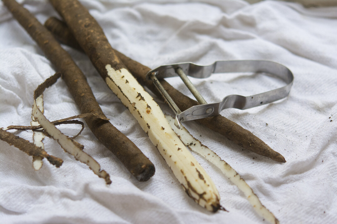 Richtig in Szene gesetzt, ist auch der „Spargel des kleinen Mannes“ ein großer Genuss und eine riesige Bereicherung der saisonalen Küche im Winter.