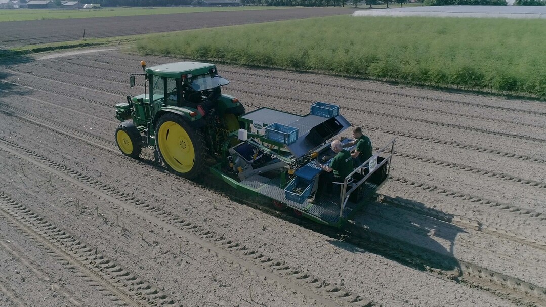 Einen Hektar Grnspargel in zwei Stunden schafft die Erntemaschine "Christian" von Christiaens Agro Systems BV.