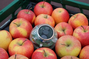 Die neue Respirationsmesskugel eignet sich fr den mobilen Einsatz im Obst- und Gemselager. 