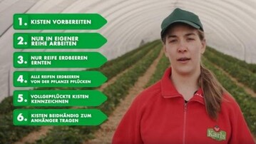 Die Videos mit der Landwirtin Charlotte sind fr alle, die bei der anstehenden Ernte vonErdbeeren und Rhabarber Untersttzung leisten wollen.