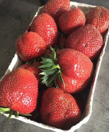 Das Allergiepotenzial von Erdbeeren und Tomaten hngt stark von der Sorte ab. Das liegt vor allem an den schwankenden Allergen-Gehalten. 