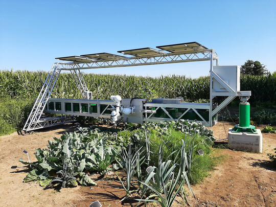 Gemseproduktion mit Photovoltaik: der Agrarroboter Davegi im Einsatz.