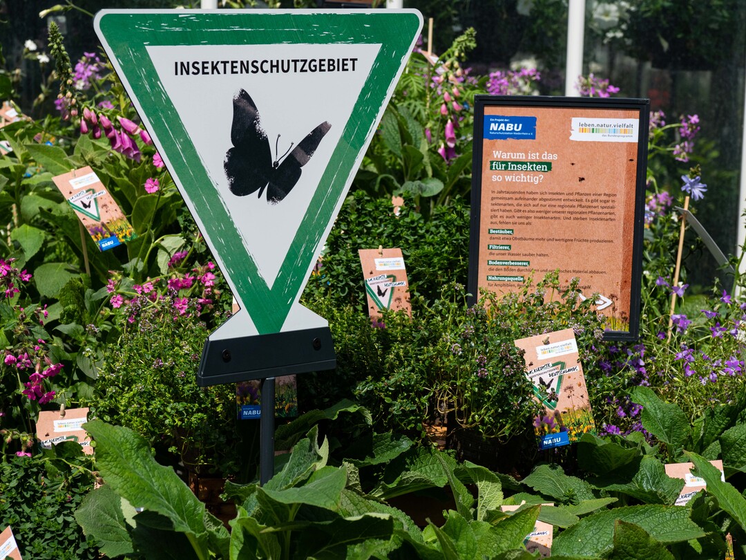Durch das Projekt kann ein wichtiger Beitrag für mehr Insektenvielfalt im urbanen Raum geleistet werden.