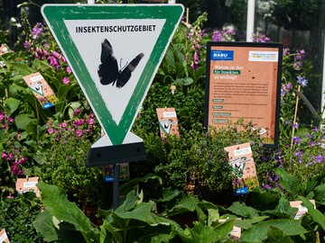 Durch das Projekt kann ein wichtiger Beitrag fr mehr Insektenvielfalt im urbanen Raum geleistet werden. 