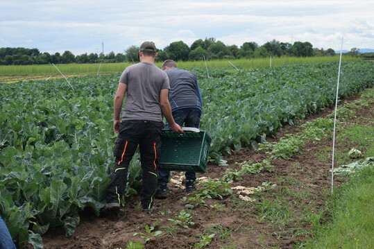 Damit Chefs und Mitarbeiter am Ende der Saison zufrieden auseinandergehen, mssen Regelungen im Arbeitsvertrag korrekt und auf dem neuesten Stand sein. 