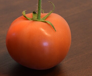 Tomaten-DNA soll dabei helfen, Brustimplantate zu kennzeichnen. Betrug oder auch Manipulation von Silikonimplantaten sollen dadurch leichter nachvollziehbar werden.