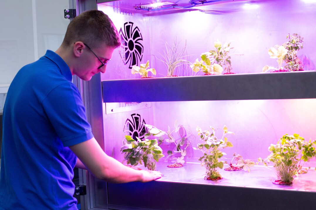 Die Energiescouts analysieren mit der Vertical Farm einen gesamten Erntezyklus.